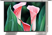 A 40-inch Cosmos Outdoor TV presents a bright and colorful picture, accentuating its impressive display capabilities.