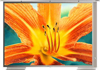 An 85-inch Cosmos Outdoor TV showcases a high-resolution image, bringing cinema-quality viewing to the outdoors.